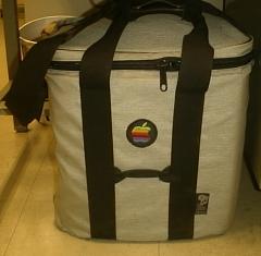 apple_bag.JPG (8k)